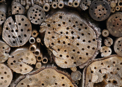 Naturoasen_Beispiel (12)