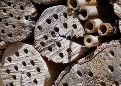 Naturoasen_Beispiel (14)