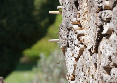 Naturoasen_Beispiel (2)