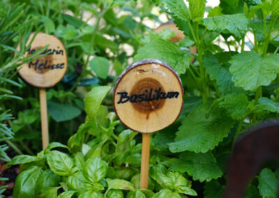 Naturoasen_Beispiel (20)