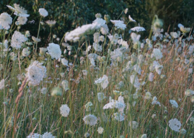 Naturoasen_Beispiel (4)