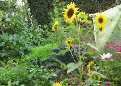 Naturoasen_Beispiel (4)