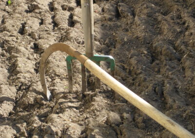 Naturoasen_Beispiel (8)